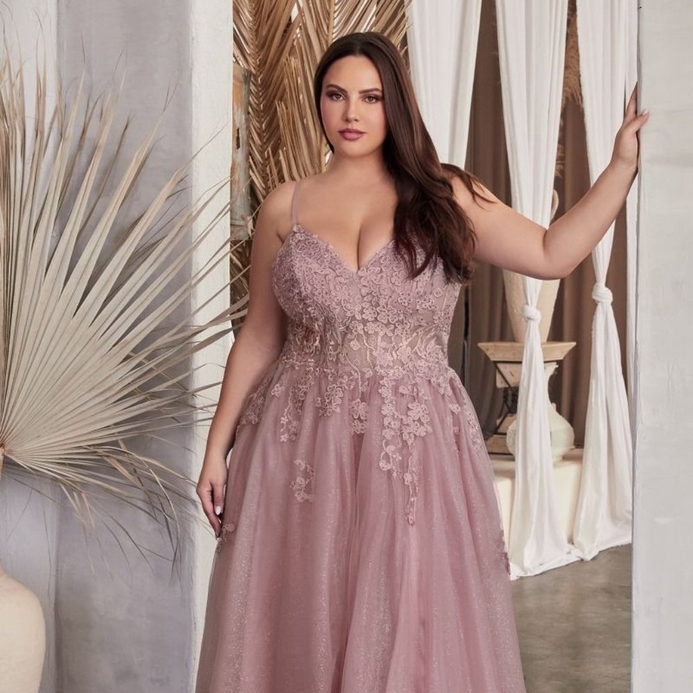 NEW A-LINE SLEEVELESS TULLE DRESS EMBROIDERED WITH FLORAL LACE DETAILS CD C148C